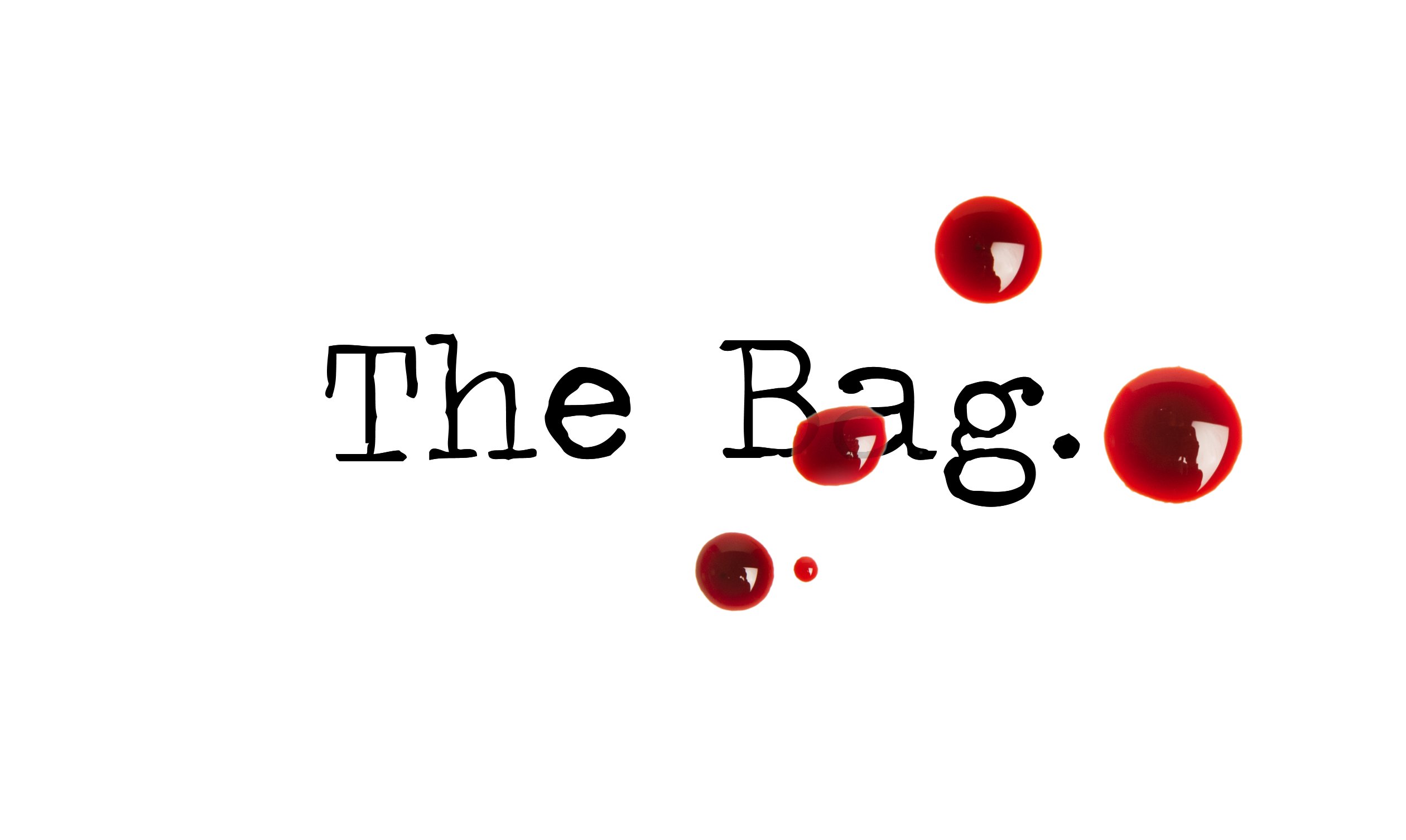 Day 108 – The Bag – Short Story